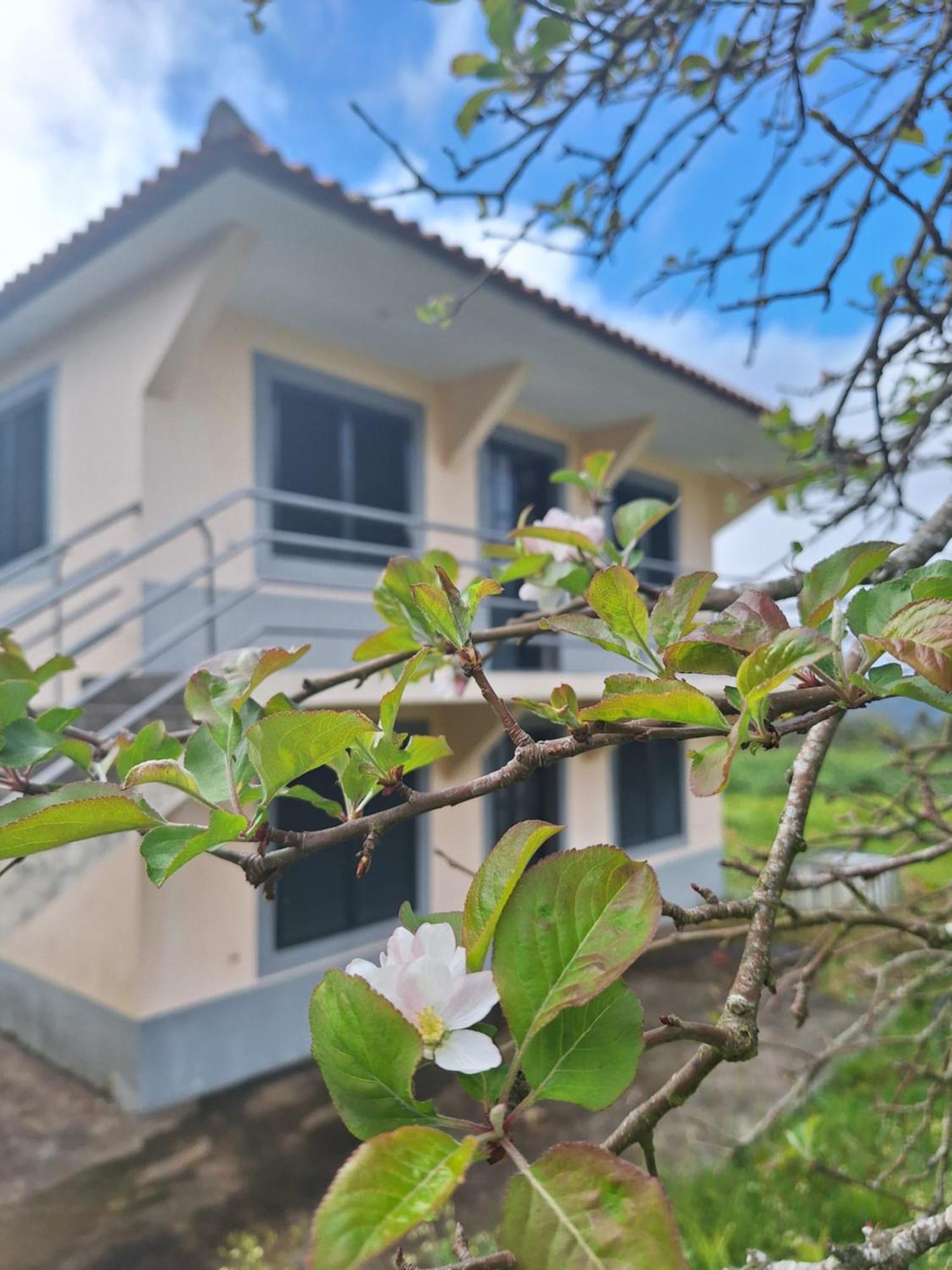 Villa Correia - Ribeiro Frio Sao Roque Do Faial Luaran gambar